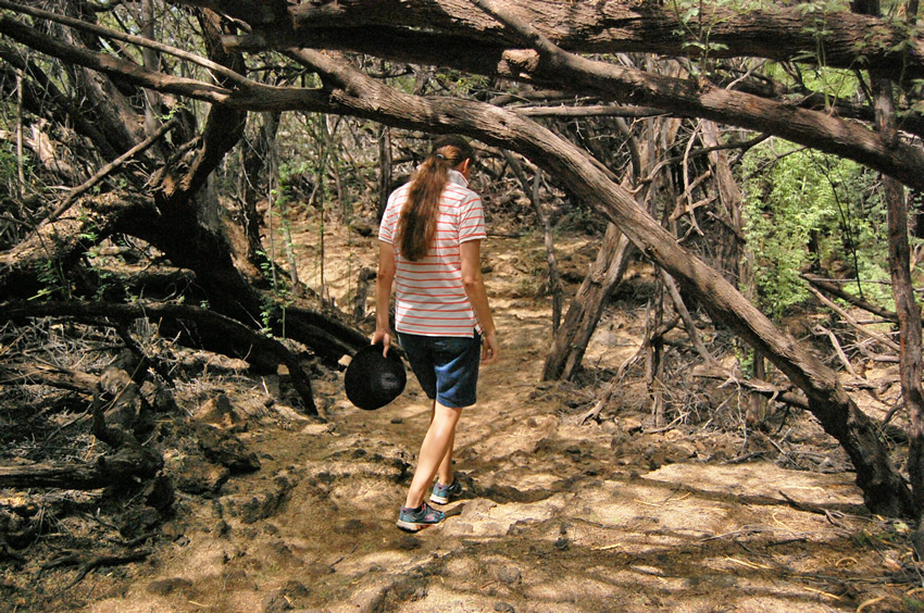Trail to Petroglyphs 2