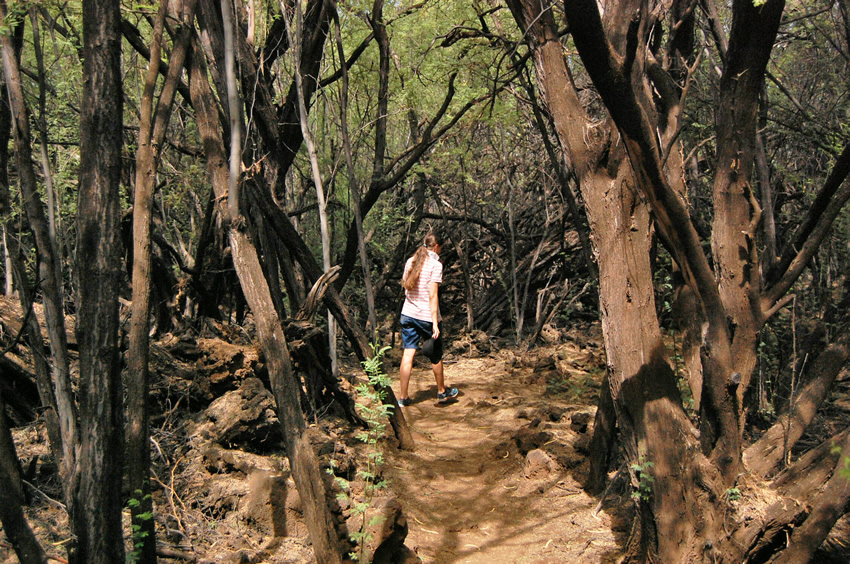 Trail to Petroglyphs 3
