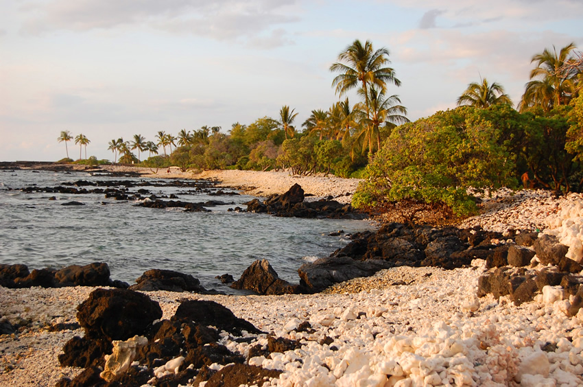 Ala Kahakai Trail by the Sea