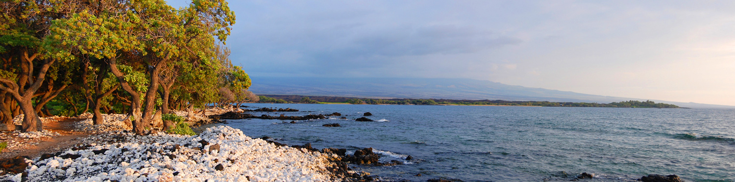 Ala Kahakai Trail by the Sea 2