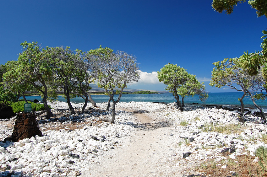 Ala Kahakai Trail by the Sea 3