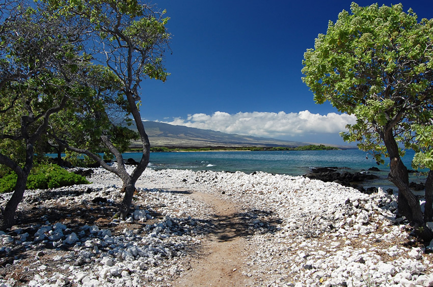 Ala Kahakai Trail by the Sea 4