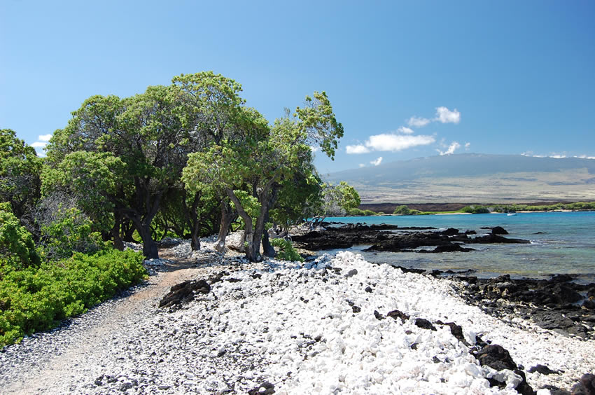 Ala Kahakai Trail by the Sea 5