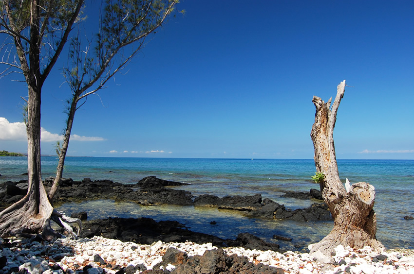 Ala Kahakai Trail by the Sea 6