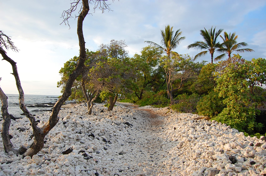 Ancient Hawaiian Trail