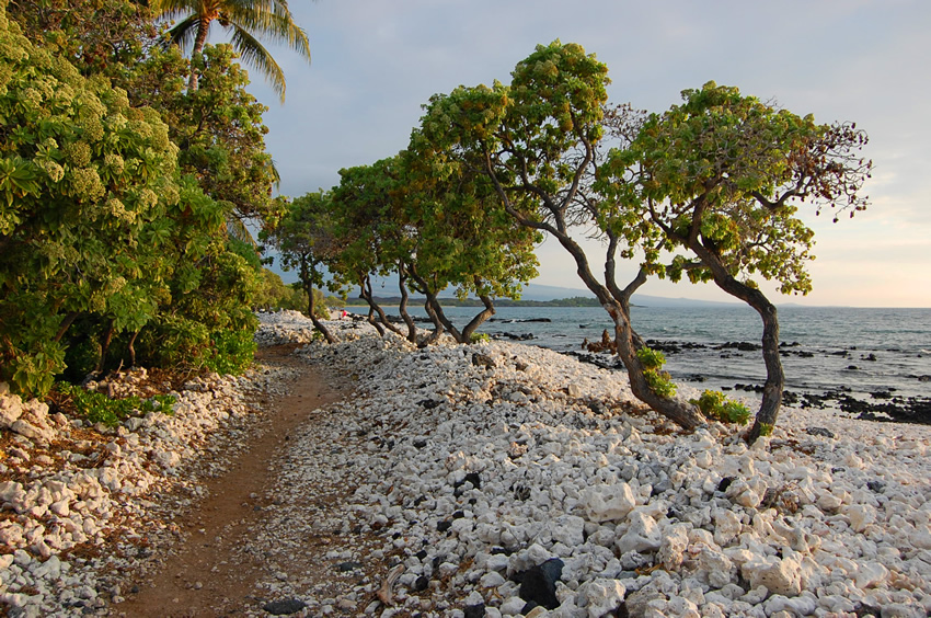 Area Between Marriott and Hilton Resorts