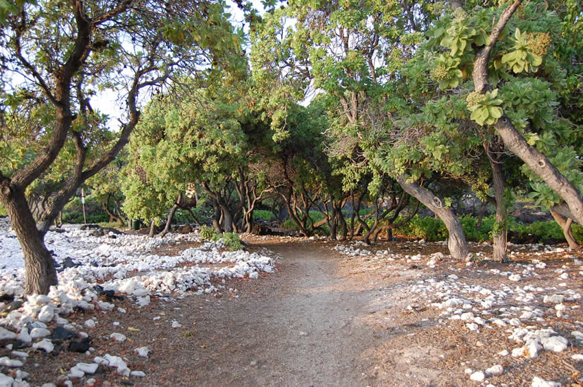 Area Near Anaehoomalu Bay
