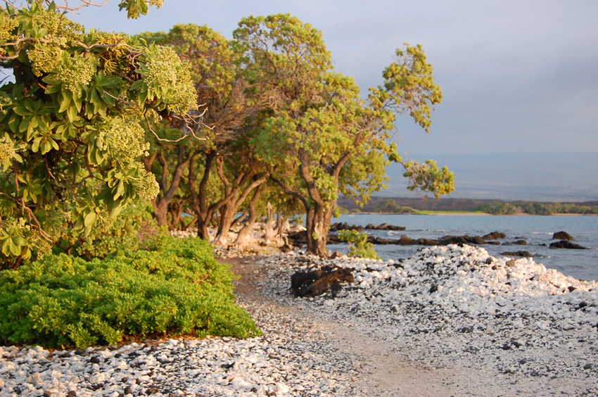 Waikoloa Beach Resort Attraction