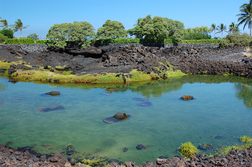 Brackish Water Lava Pools 2
