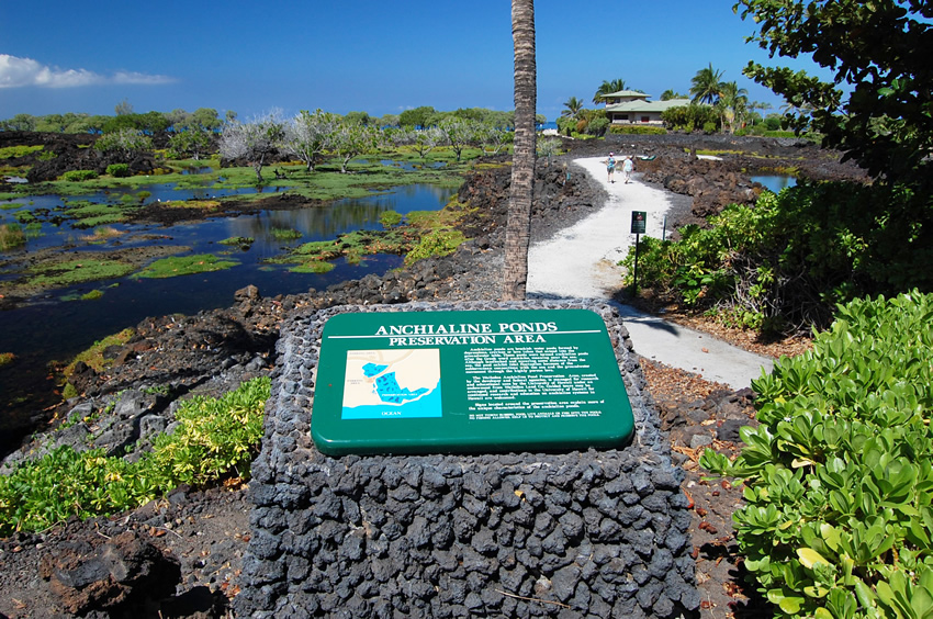 Historic Anchialine Ponds