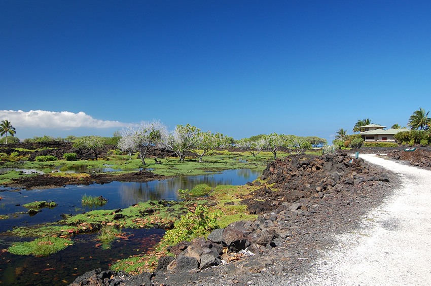 Scenic Trail