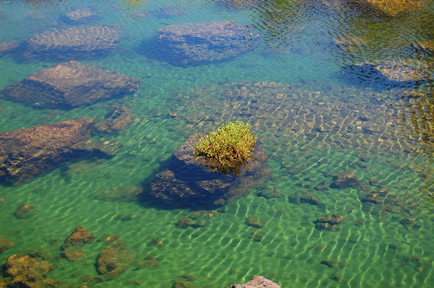 Shallow Salt Wter
