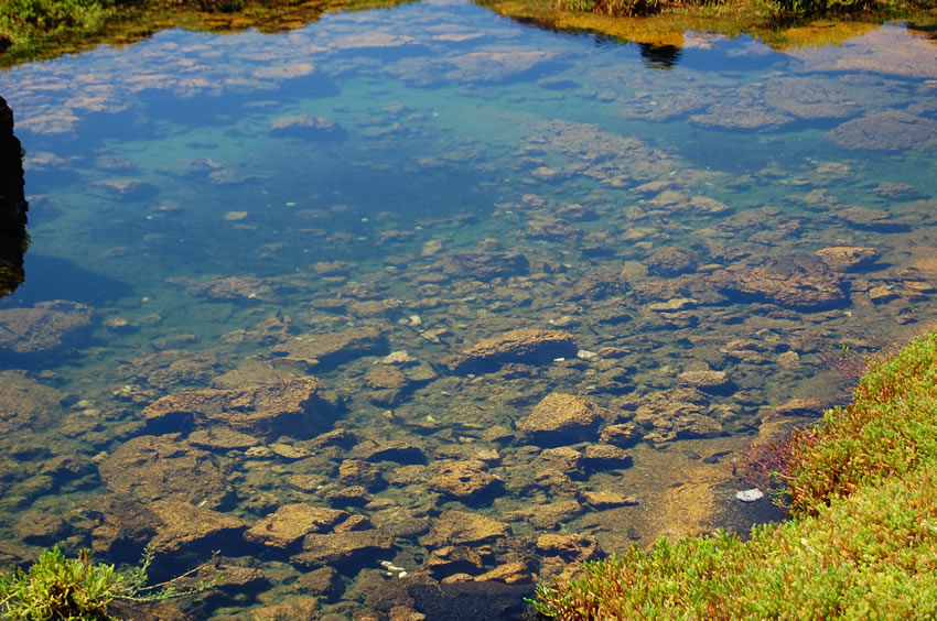 Shallow Salt Wter 2
