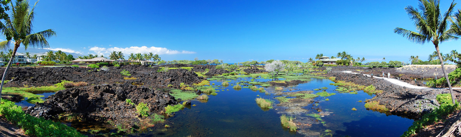 Waikoloa Anchialine Pond Preservation Area 1