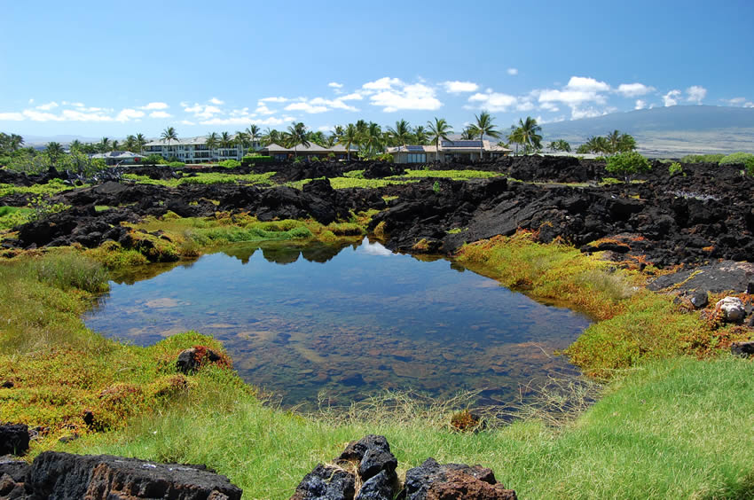 Waikoloa Beach Resort Attraction