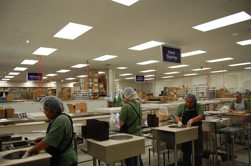 Production Process