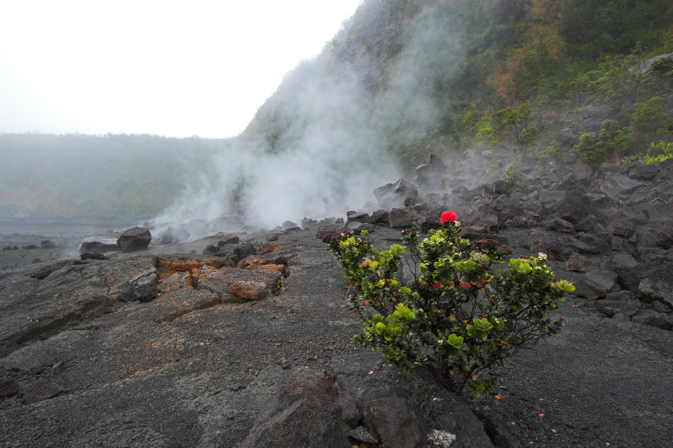 Hawaii Volcanoes National Park 4