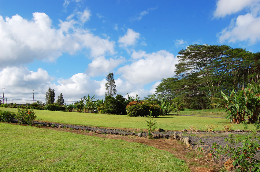 Green Surroundings2