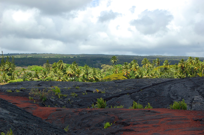 Kalapana Scenery2