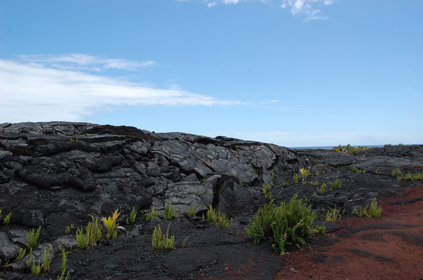 Red Path Among the Lava