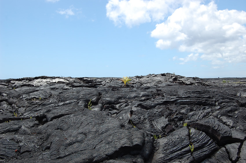 Unique Lava Scenery