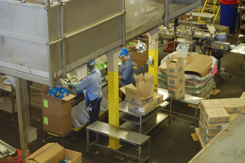 Factory Tour