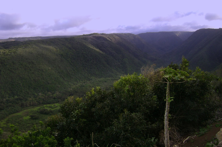 Pololu Valley