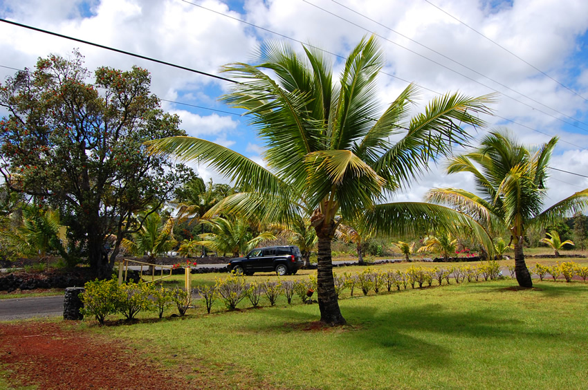 Parking Area
