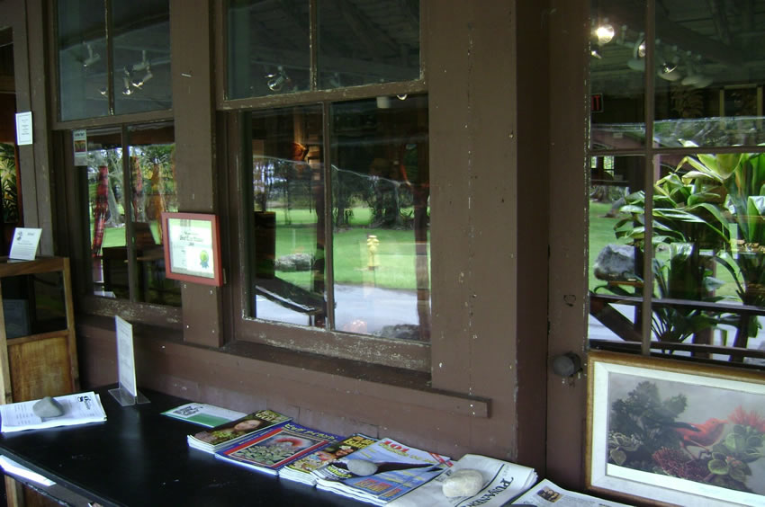 View from Inside