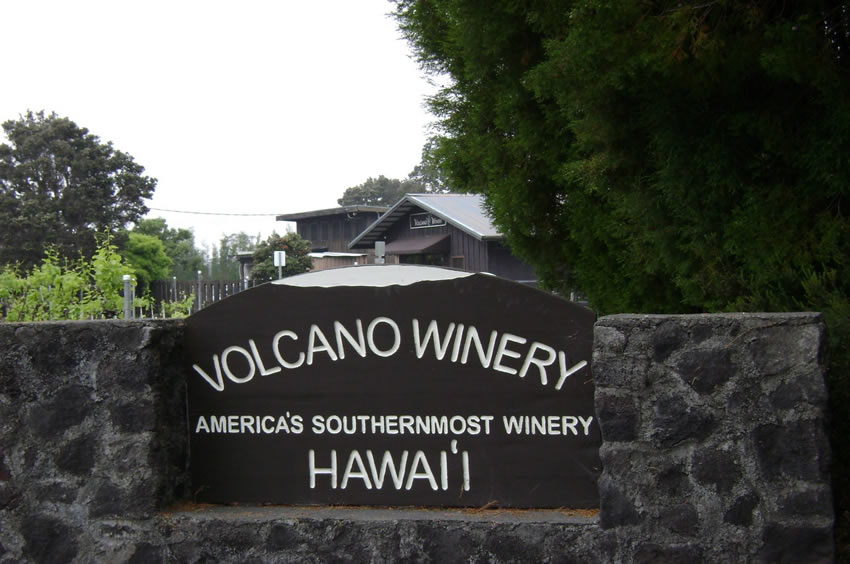 Volcano Winery2
