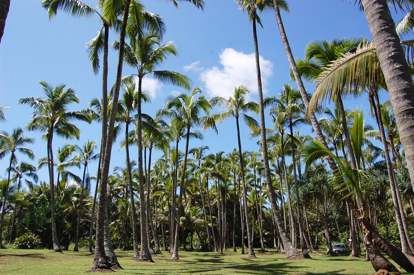 Ahalanui Park