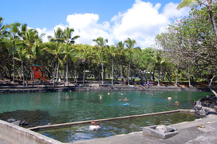 Tropical Surroundings