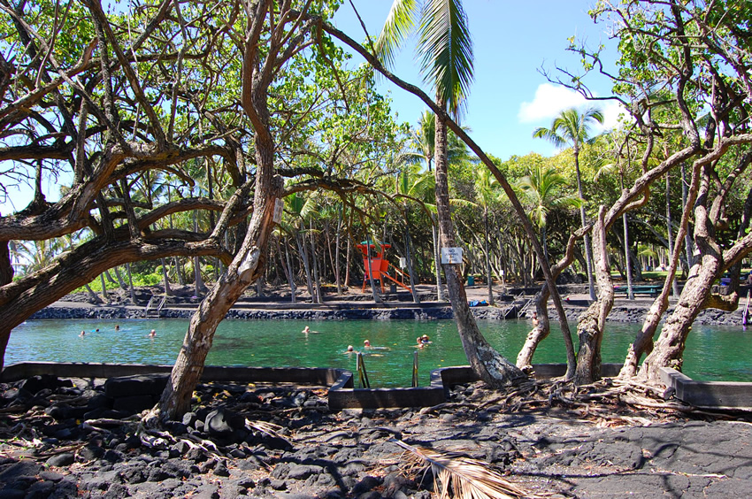 Tropical Vista