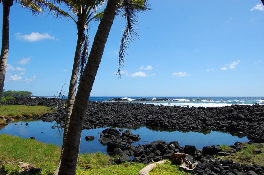 View to the Shoreline