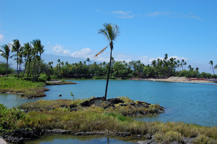 Kuualii Fishpond