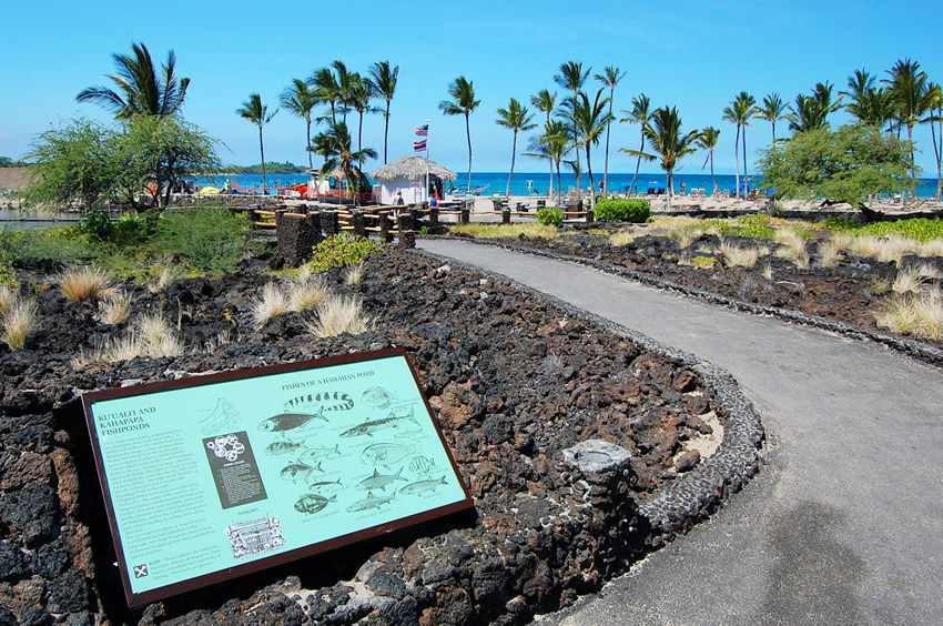 Path to Beach