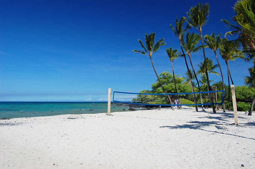 Volleyball Court