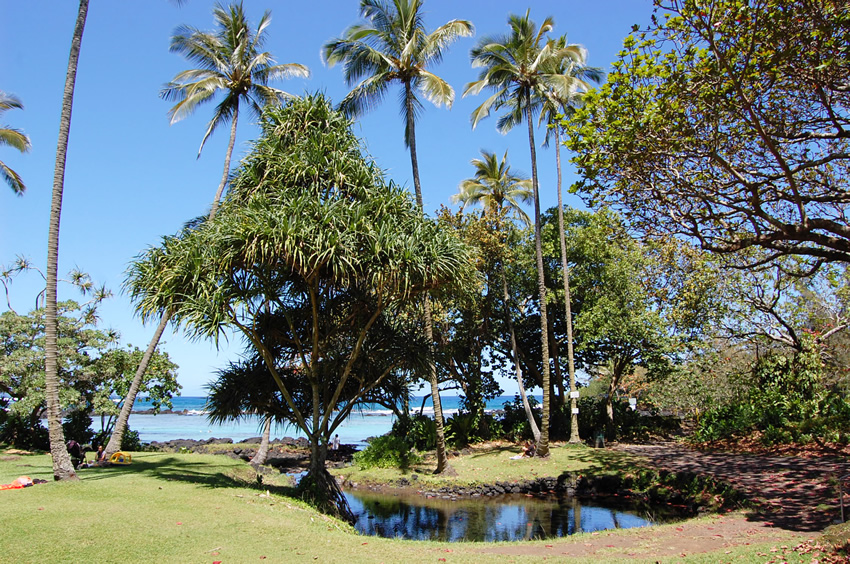 Park View