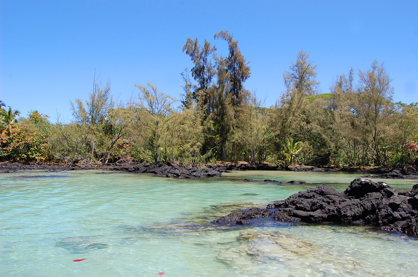 Tropical Lagoon2