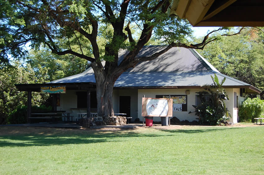 Park Area 1