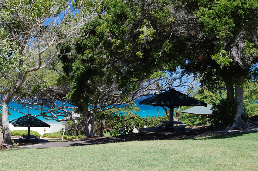 Picnic Area
