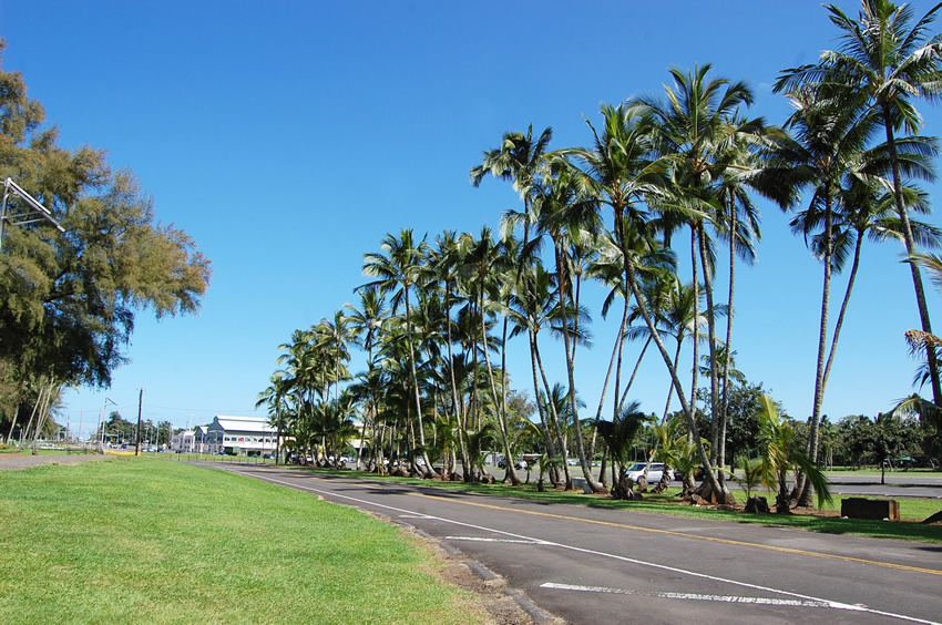 Scenic Park