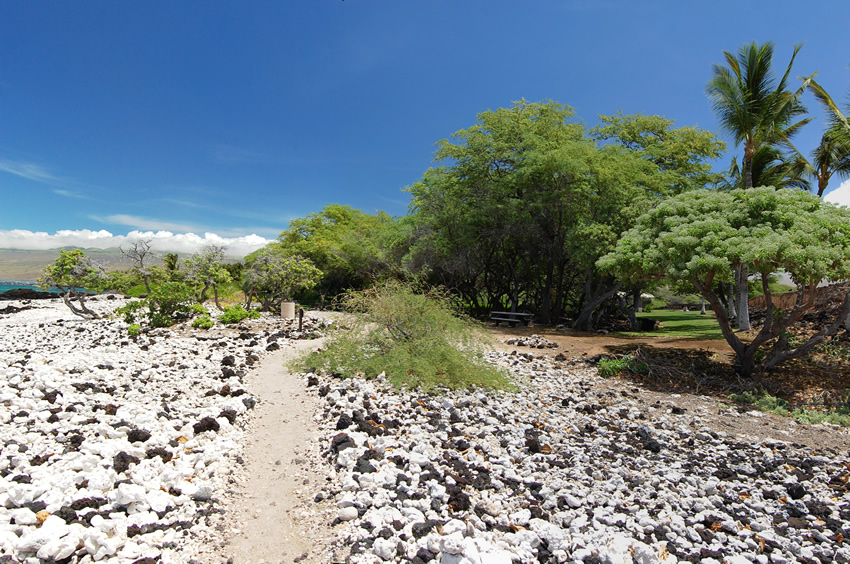 Beach Trail 2