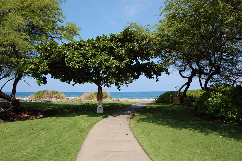 Entry Path to Beach