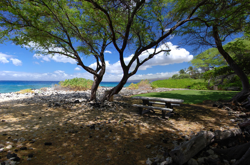 Good Beach for Picnics