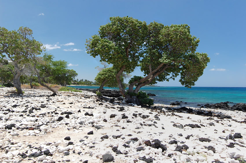 Rocky Beach