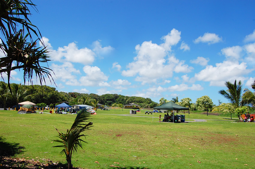 Large Park