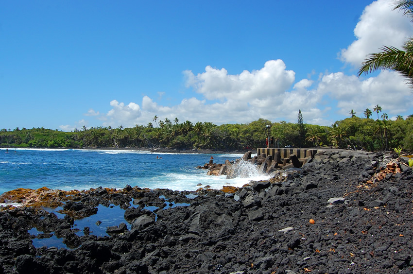 Tropical View