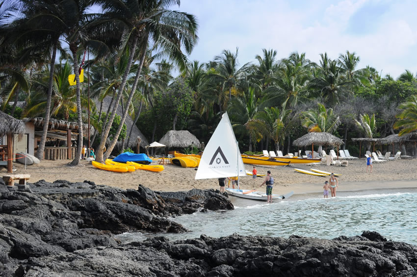 Tropical Beach