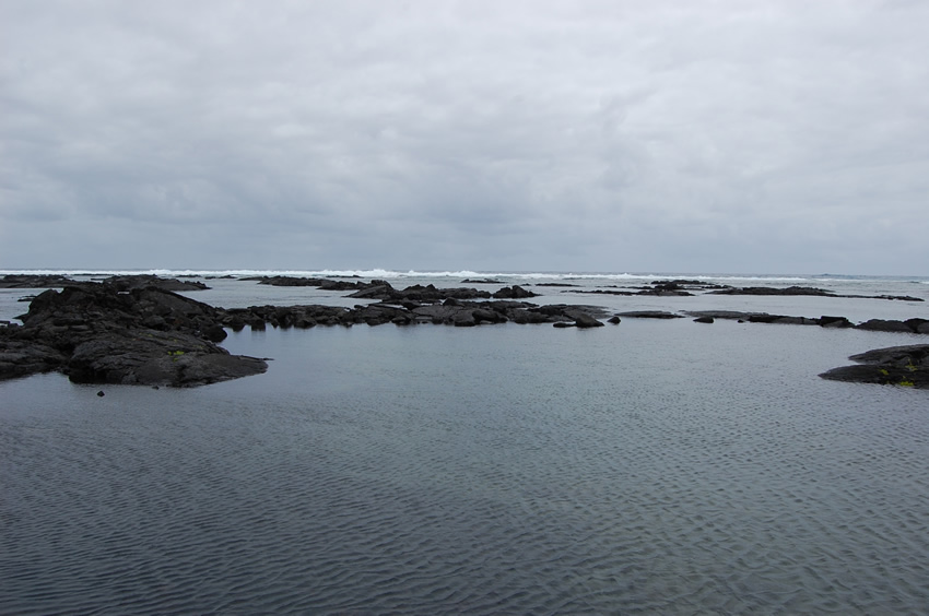 Area at High Tide